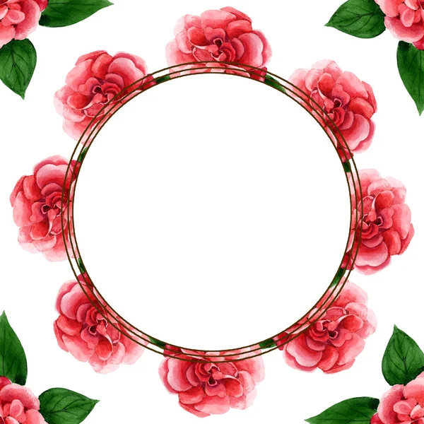 Flores Camelia Rosa Con Hojas Verdes Aisladas Blanco Conjunto Ilustración — Foto de Stock