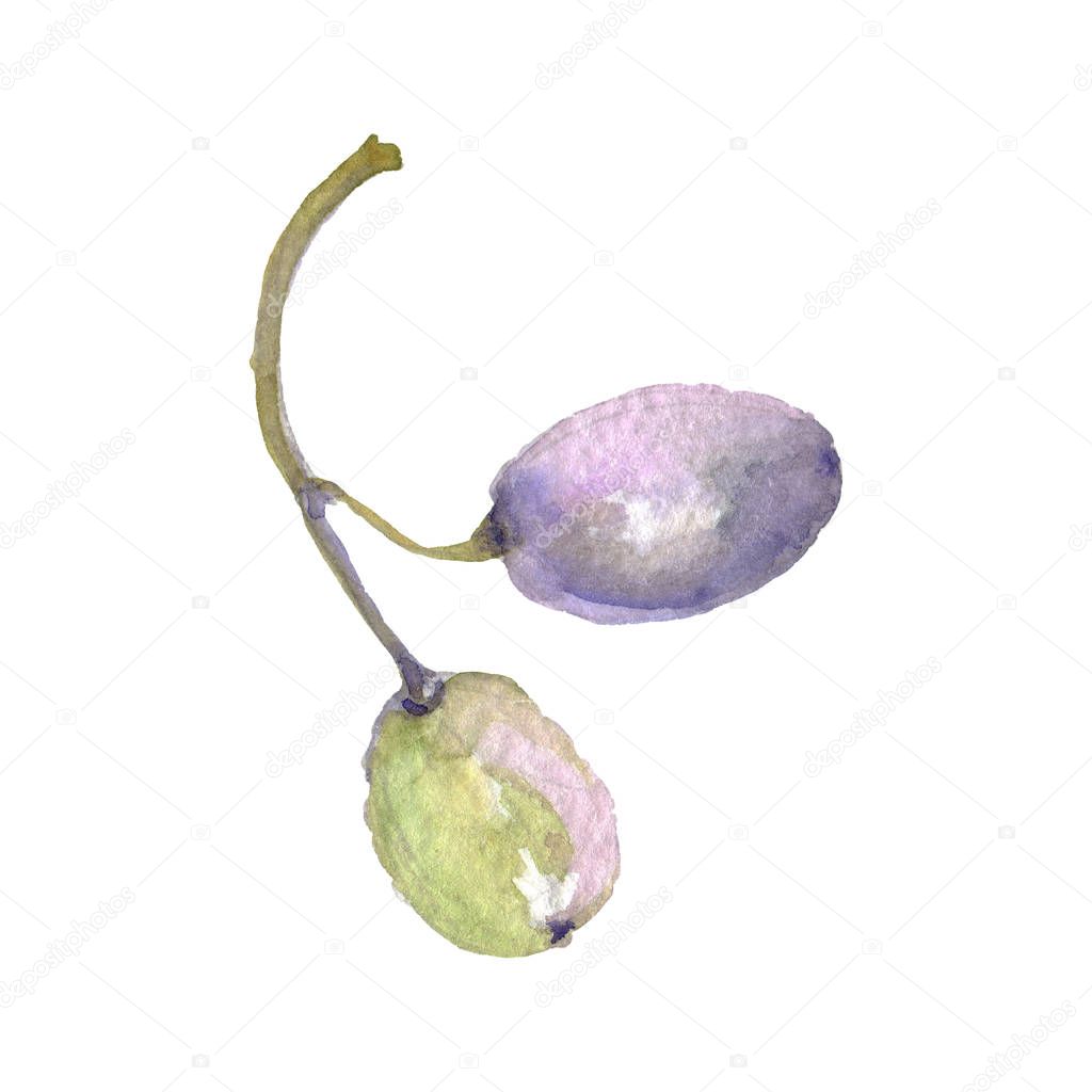 AndreYanush