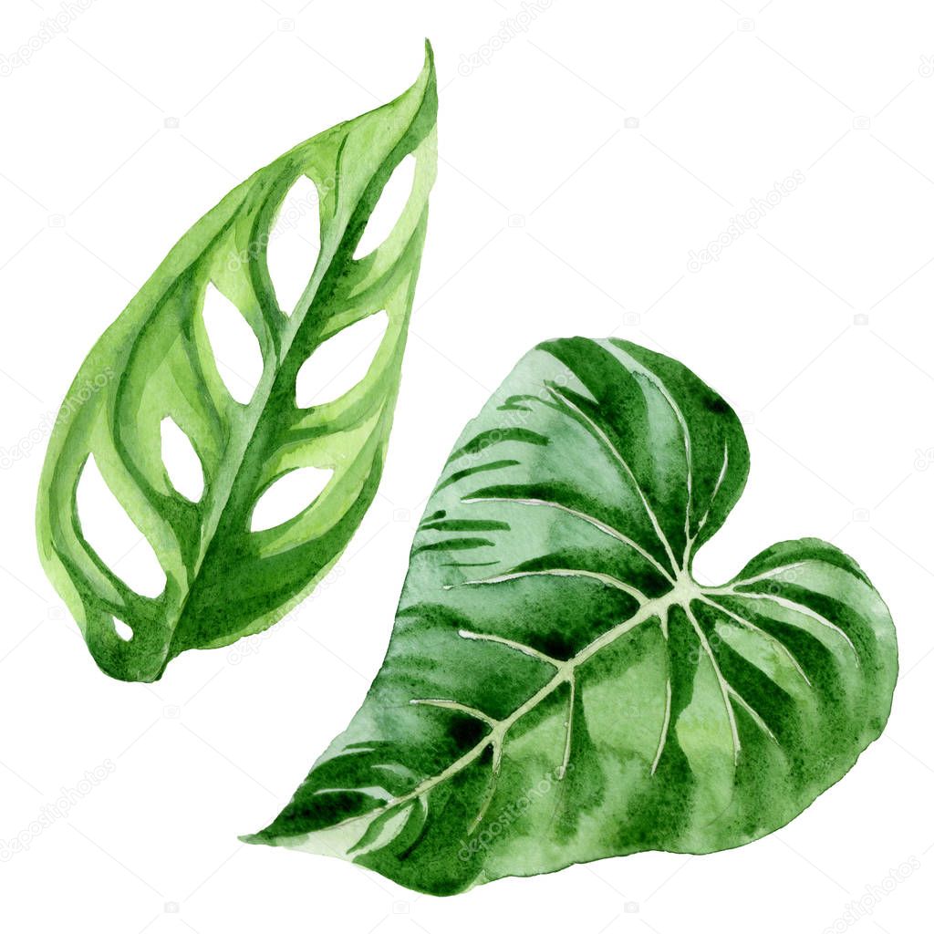 AndreYanush