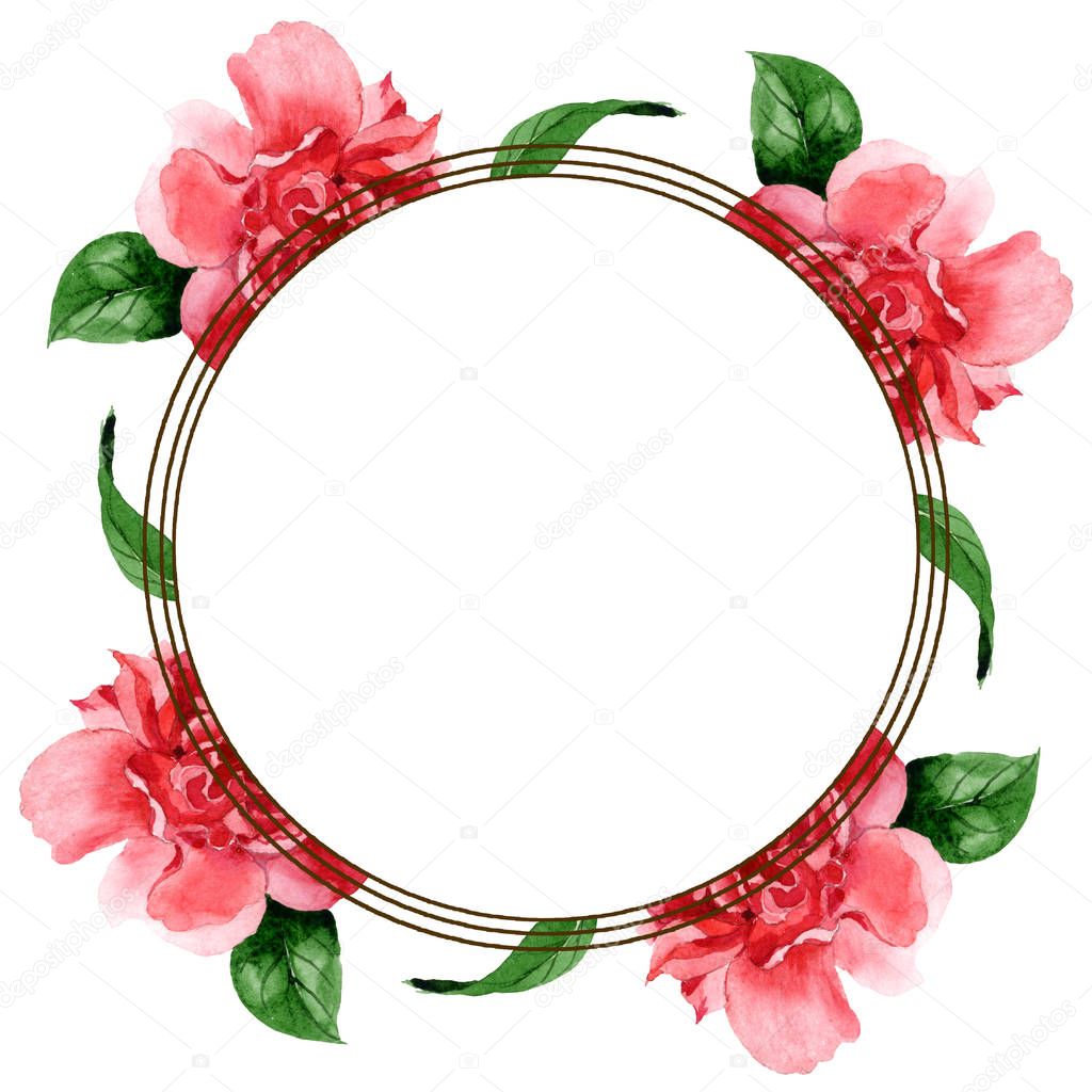 Pink camellia flowers with green leaves isolated on white. Watercolor background illustration set. Frame border ornament with copy space.