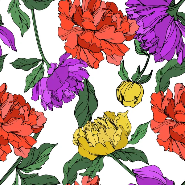 Pivoines Vectorielles Multicolores Avec Des Feuilles Isolées Sur Blanc Modèle — Image vectorielle