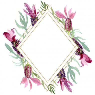 Mor lavanta çiçek botanik çiçekleri. Suluboya arka plan illüstrasyon seti. Çerçeve kenarlık süs karesi.