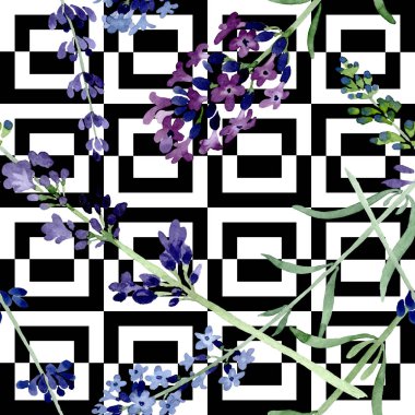 Mor lavanta çiçek botanik çiçek. Suluboya arka plan illüstrasyon seti. Kesintisiz arka plan deseni.