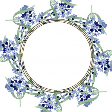 Mor lavanta çiçek botanik çiçek. Suluboya arka plan illüstrasyon seti. Çerçeve kenarlık süs karesi.