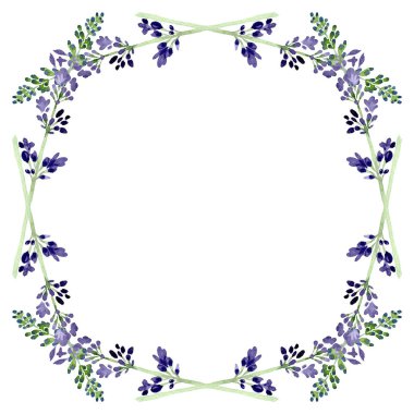 Violet lavender floral botanical flower. Watercolor background illustration set. Frame border ornament square. clipart