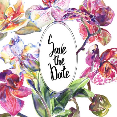 Orkide çiçek botanik çiçekleri. Suluboya arka plan illüstrasyon seti. Çerçeve kenarlık süs karesi.