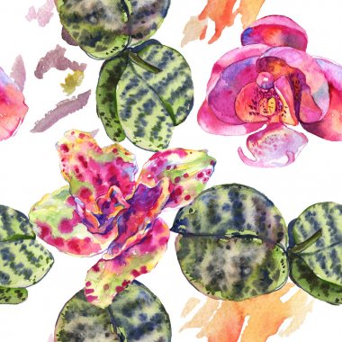 Orkide çiçek botanik çiçek. Suluboya arka plan illüstrasyon seti. Kesintisiz arka plan deseni.