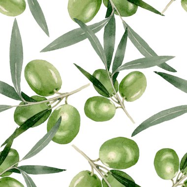 Siyah ve yeşil meyveli zeytin dalı. Suluboya arka plan illüstrasyon seti. Kesintisiz arka plan deseni.