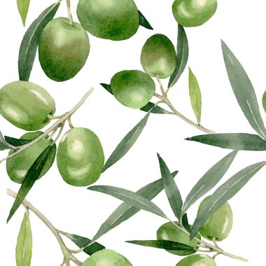Siyah ve yeşil meyveli zeytin dalı. Suluboya arka plan illüstrasyon seti. Kesintisiz arka plan deseni.