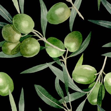 Siyah ve yeşil meyveli zeytin dalı. Suluboya arka plan illüstrasyon seti. Kesintisiz arka plan deseni.