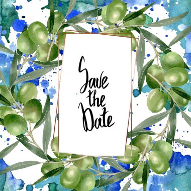 Siyah ve yeşil meyveli zeytin dalı. Suluboya arka plan illüstrasyon seti. Çerçeve kenarlık süs karesi.