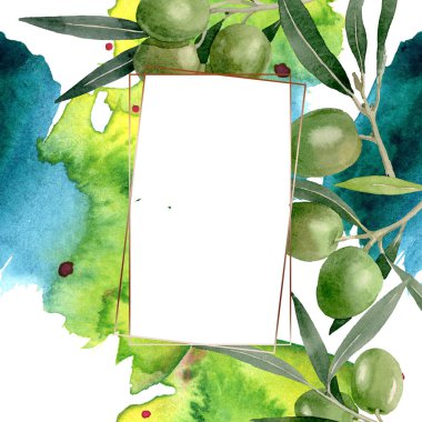 Siyah ve yeşil meyveli zeytin dalı. Suluboya arka plan illüstrasyon seti. Çerçeve kenarlık süs karesi.