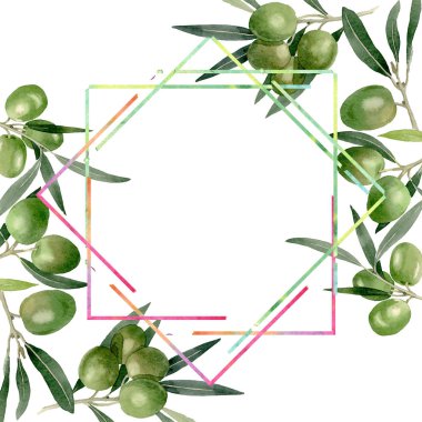 Siyah ve yeşil meyveli zeytin dalı. Suluboya arka plan illüstrasyon seti. Çerçeve kenarlık süs karesi.