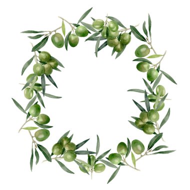 Siyah ve yeşil meyveli zeytin dalı. Suluboya arka plan illüstrasyon seti. Çerçeve kenarlık süs karesi.