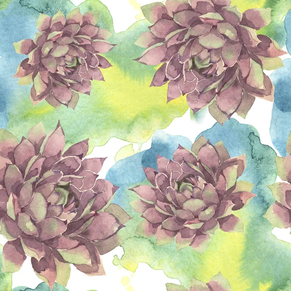 Succulent Floral Botanical Flower Wild Spring Leaf Wildflower Watercolor Illustration — Stock Photo, Image