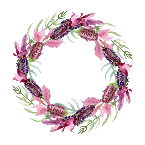 Purple lavender floral botanical flowers. Watercolor background illustration set. Frame border ornament square.