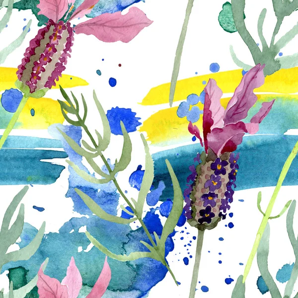 Fleurs botaniques florales violettes lavande. Ensemble d'illustration de fond aquarelle. Modèle de fond sans couture . — Photo