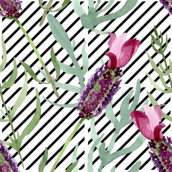 Purple lavanda flores botánicas florales. Conjunto de ilustración de fondo acuarela. Patrón de fondo sin costuras . — Foto de Stock