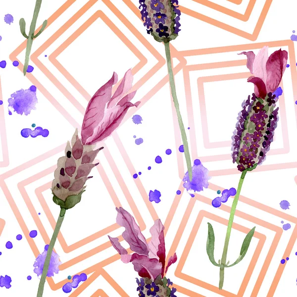 Purple lavender bunga botani. Set ilustrasi latar belakang cat air. Pola latar belakang mulus . — Stok Foto