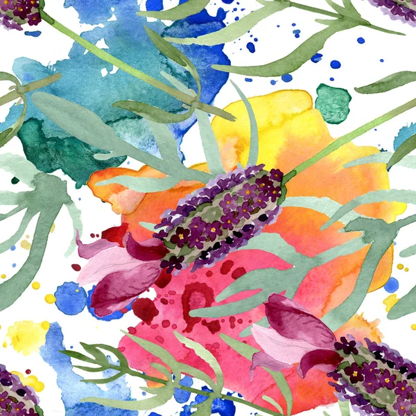 紫色のラベンダーの花の植物の花。●水彩背景イラストセット。シームレスな背景パターン. — ストック写真