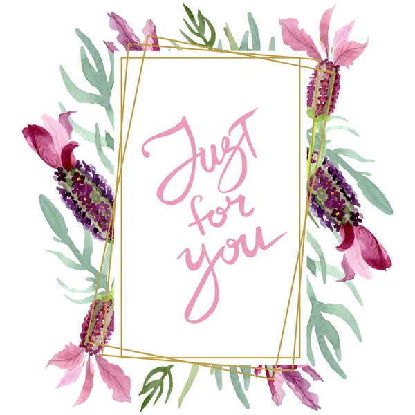 Lila lavendel blommiga botaniska blommor. Akvarell bakgrund illustration uppsättning. Ram kant prydnad kvadrat. — Stockfoto