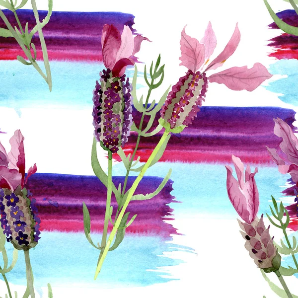 Lila lavendel blommiga botaniska blommor. Akvarell bakgrund illustration uppsättning. Sömlöst bakgrundsmönster. — Stockfoto