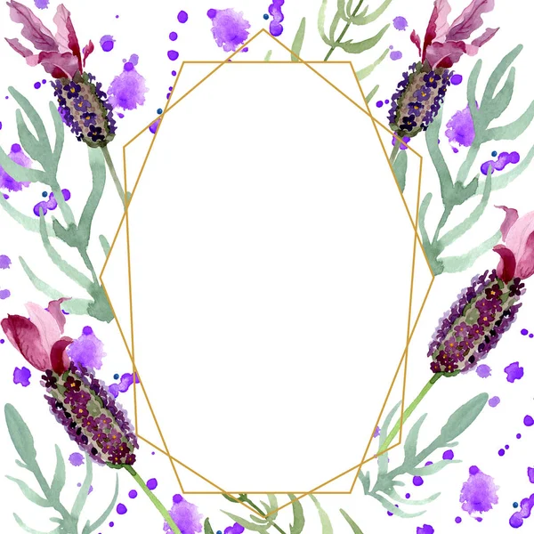 Lila Lavendel blühende botanische Blumen. Aquarell Hintergrundillustration Set. Rahmen Rand Ornament Quadrat. — Stockfoto