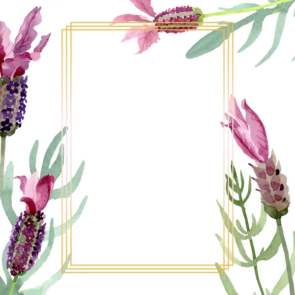 Fiori botanici floreali viola lavanda. Acquerello sfondo illustrazione set. Quadrato ornamento bordo cornice . — Foto Stock