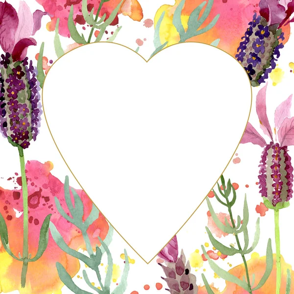 Fleurs botaniques florales violettes lavande. Ensemble d'illustration de fond aquarelle. Cadre bordure ornement carré . — Photo