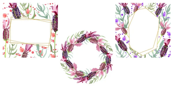 Fleurs botaniques florales violettes lavande. Ensemble d'illustration de fond aquarelle. Cadre bordure ornement carré . — Photo