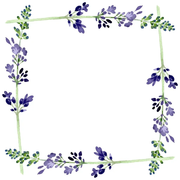 Violet lavendel bloemen botanische bloem. Aquarel achtergrond illustratie instellen. Frame rand ornament vierkant. — Stockfoto