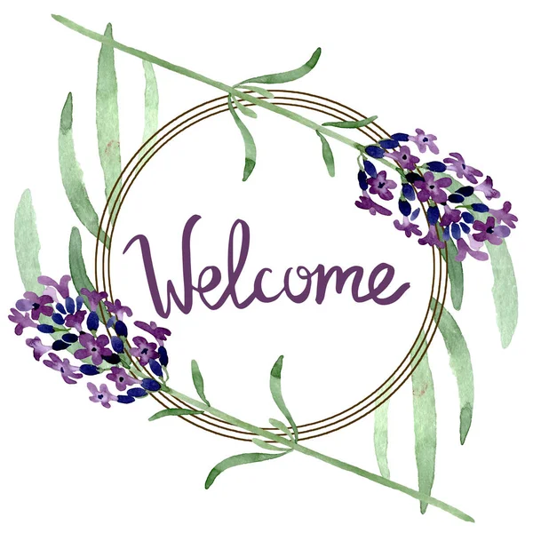 Violet lavender floral botanical flower. Watercolor background illustration set. Frame border ornament square.