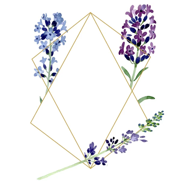 Violettem Lavendel florale botanische Blume. Aquarell Hintergrundillustration Set. Rahmen Rand Ornament Quadrat. — Stockfoto
