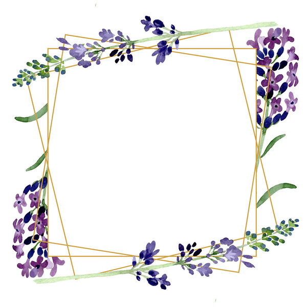 Violet lavender floral botanical flower. Watercolor background illustration set. Frame border ornament square.