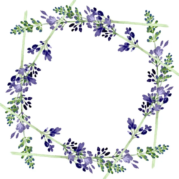 Violeta flor botánica floral de lavanda. Conjunto de ilustración de fondo acuarela. Marco borde ornamento cuadrado . — Foto de Stock