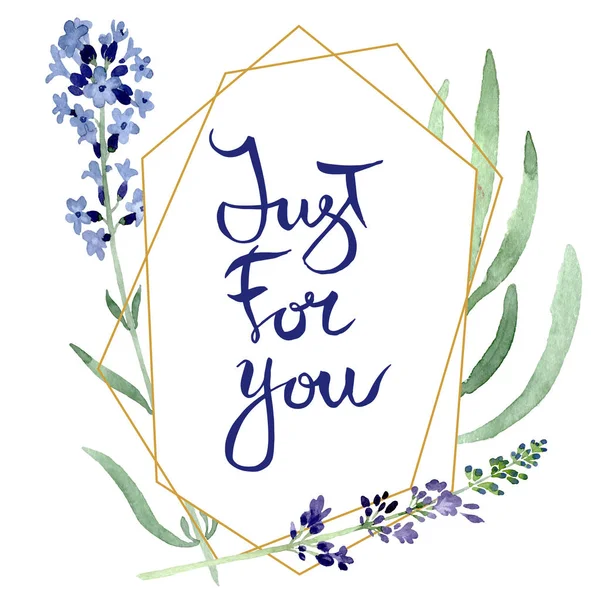 Violet lavender floral botanical flower. Watercolor background illustration set. Frame border ornament square.