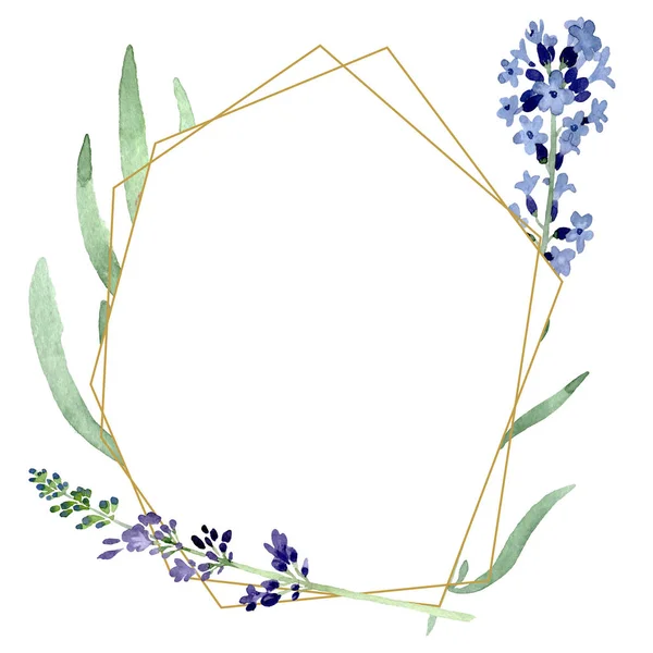 Fiore botanico floreale di lavanda viola. Acquerello sfondo illustrazione set. Quadrato ornamento bordo cornice . — Foto Stock