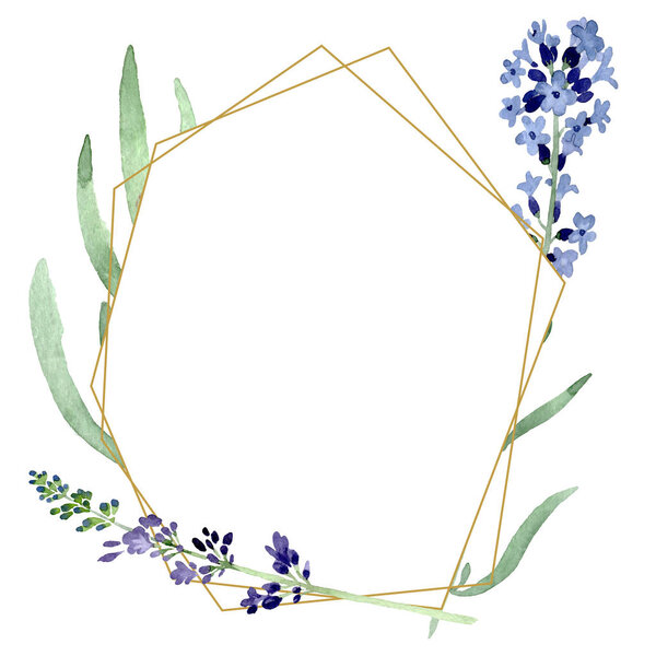 Violet lavender floral botanical flower. Watercolor background illustration set. Frame border ornament square.