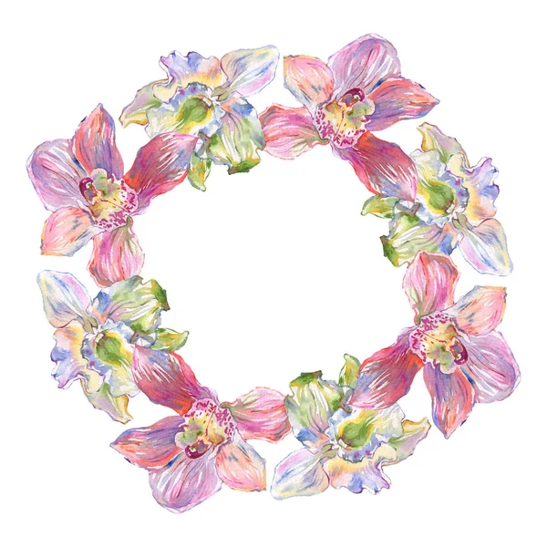 Ορχιδέα φλοράλ βοτανικών λουλουδιών. Σύνολο εικονογράφησης φόντου. Κορνίζα περίγραμμα στολίδι τετράγωνο. — Φωτογραφία Αρχείου