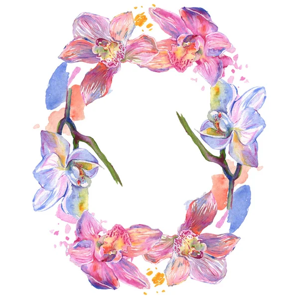 Orquídea flores botánicas florales. Conjunto de ilustración de fondo acuarela. Marco borde ornamento cuadrado . — Foto de Stock