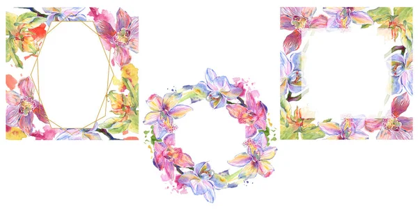 兰花植物花。水彩背景插图集。框架边框装饰广场. — 图库照片