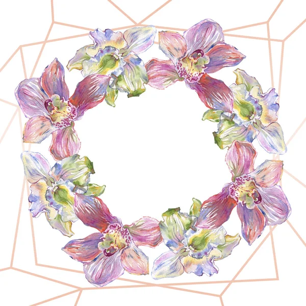 Orquídea flores botánicas florales. Conjunto de ilustración de fondo acuarela. Marco borde ornamento cuadrado . — Foto de Stock
