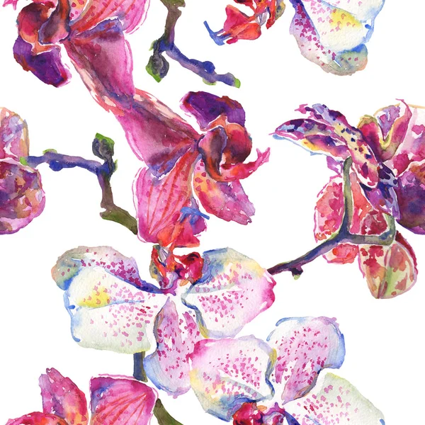 Fiori botanici floreali del Orchid. Acquerello sfondo illustrazione set. Modello di sfondo senza soluzione di continuità . — Foto Stock