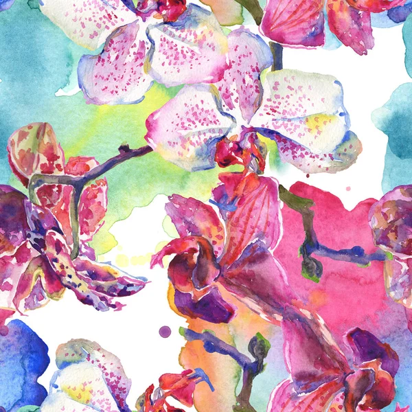 Fiori botanici floreali del Orchid. Acquerello sfondo illustrazione set. Modello di sfondo senza soluzione di continuità . — Foto Stock
