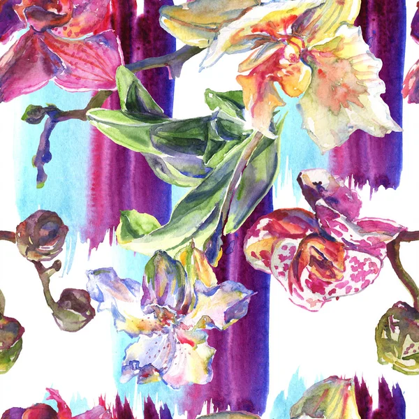 Orchidea kwiatowe kwiaty botaniczne. Akwarela zestaw ilustracji tła. Płynny wzór tła. — Zdjęcie stockowe