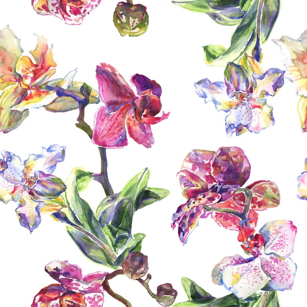 兰花植物花。水彩背景插图集。无缝背景模式. — 图库照片