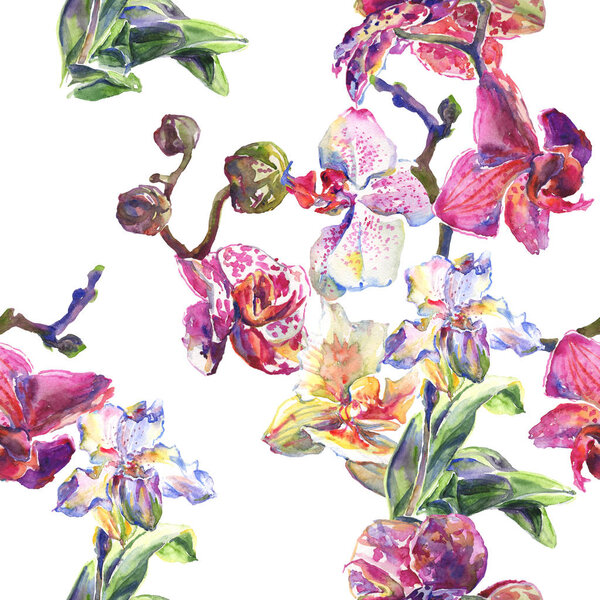 Orchid floral botanical flowers. Watercolor background illustration set. Seamless background pattern.