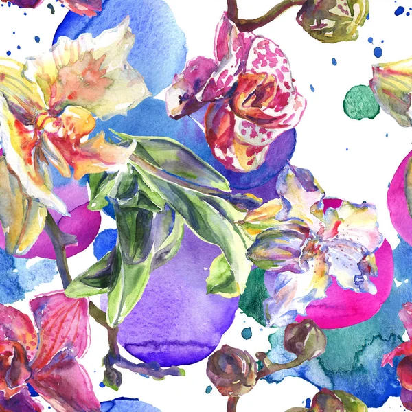 Fleurs botaniques florales d'orchidée. Ensemble d'illustration de fond aquarelle. Modèle de fond sans couture . — Photo