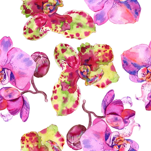 Fiore botanico floreale del Orchid. Acquerello sfondo illustrazione set. Modello di sfondo senza soluzione di continuità . — Foto Stock