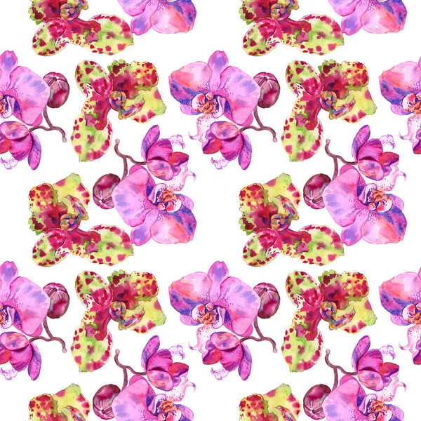 Orchid floral botanical flower. Watercolor background illustration set. Seamless background pattern. — Stock Photo, Image